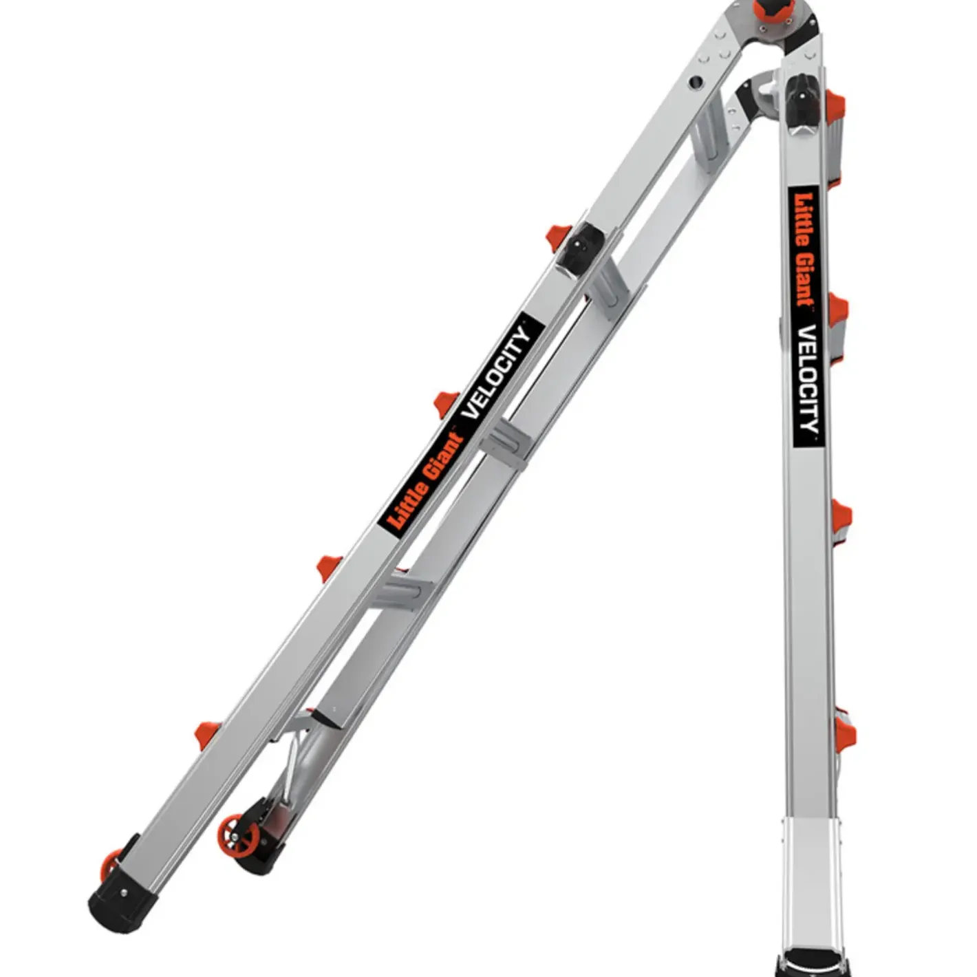 Jumbo giant multistige Classic 4/7-trin* Stiger