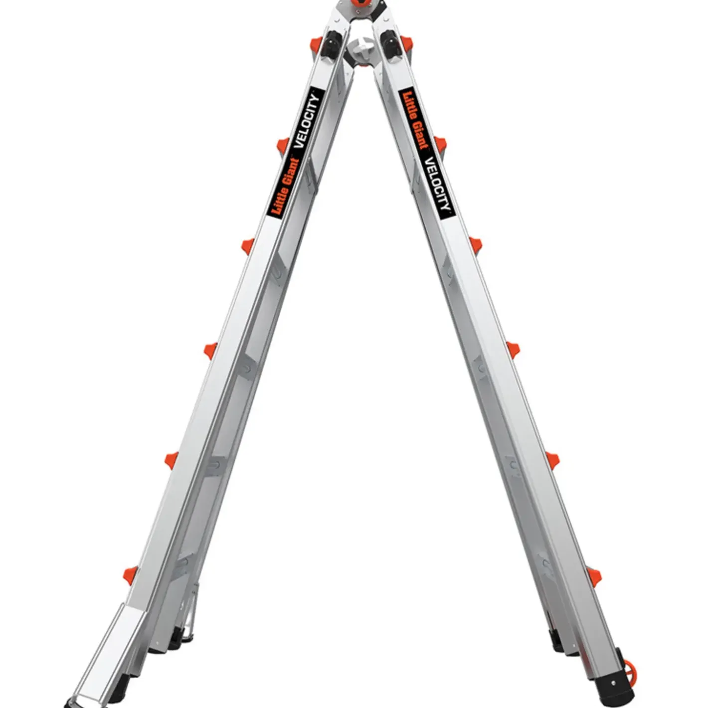 Jumbo giant multistige Classic 6/11-trin* Stiger
